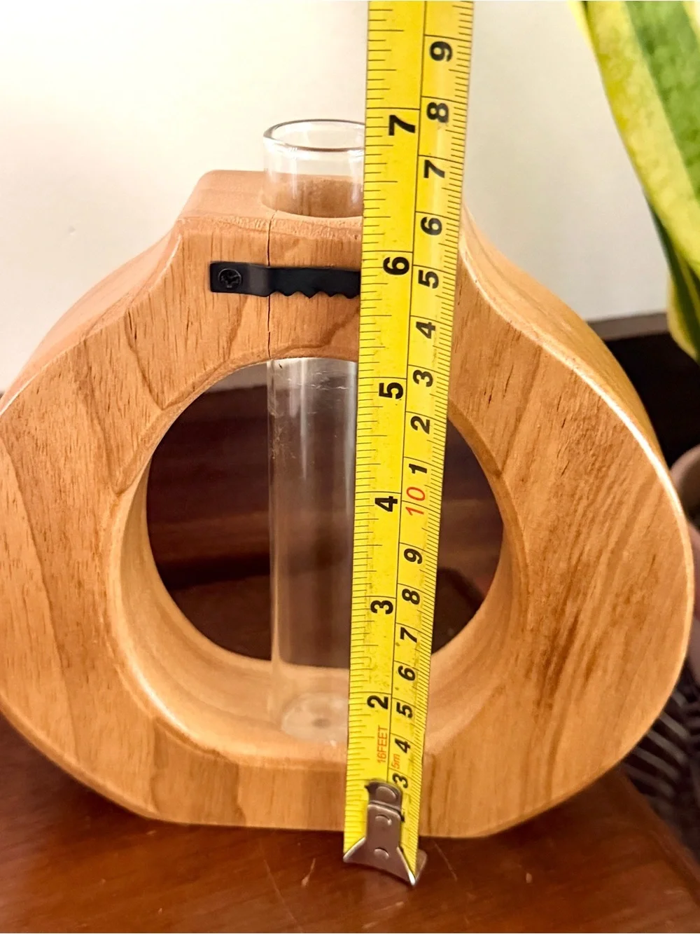 Test Tube Propagation Wood Carved Circle Vase Wall Hanging Shelf Sitting Boho